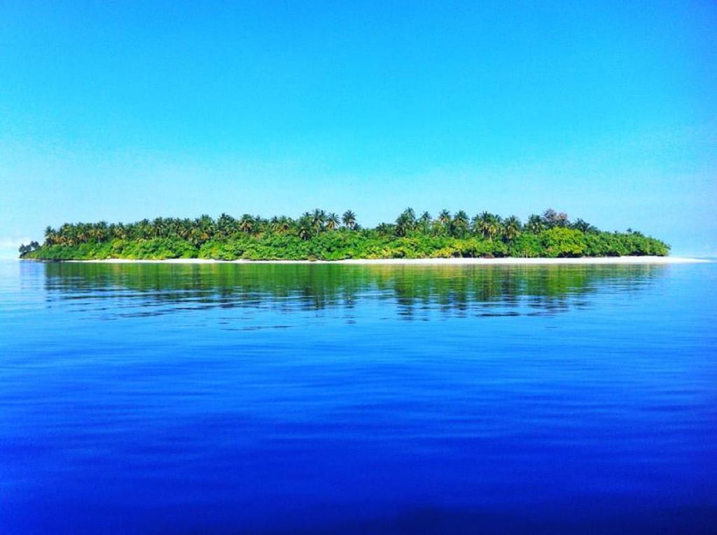 Feridhoo Inn Экстерьер фото