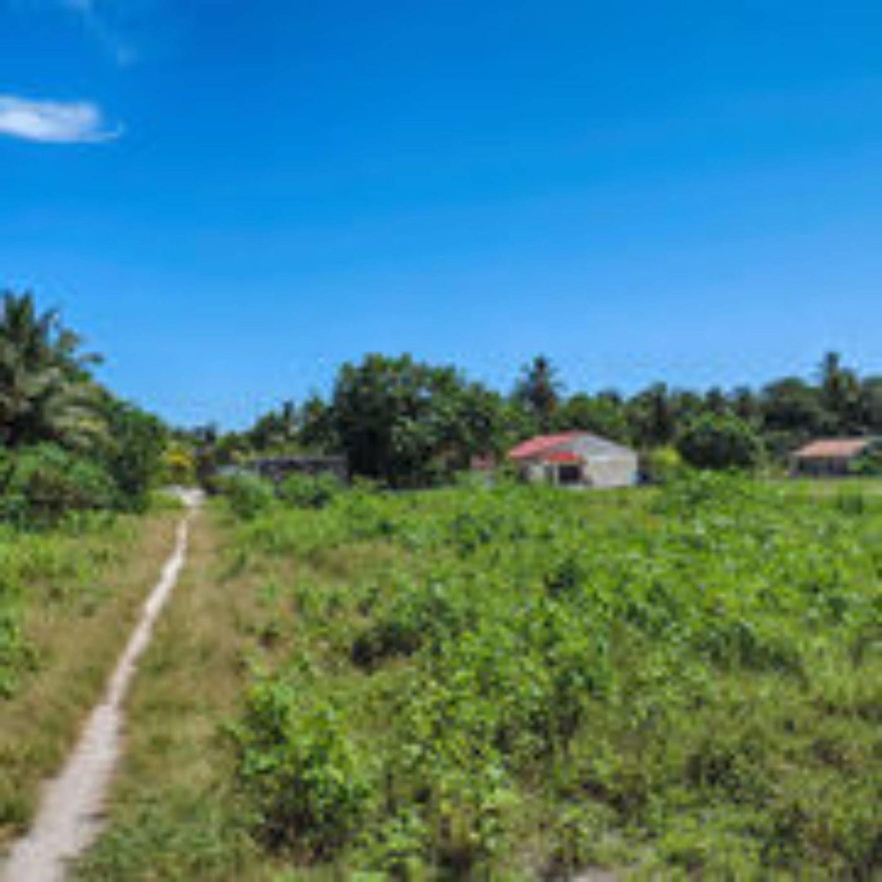 Feridhoo Inn Экстерьер фото